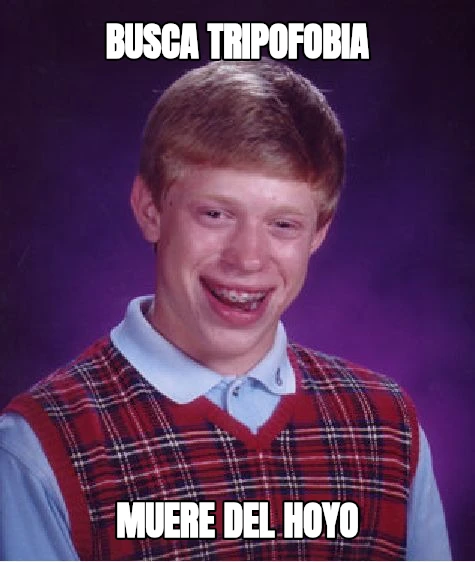 busca tripofobia muere del hoyo