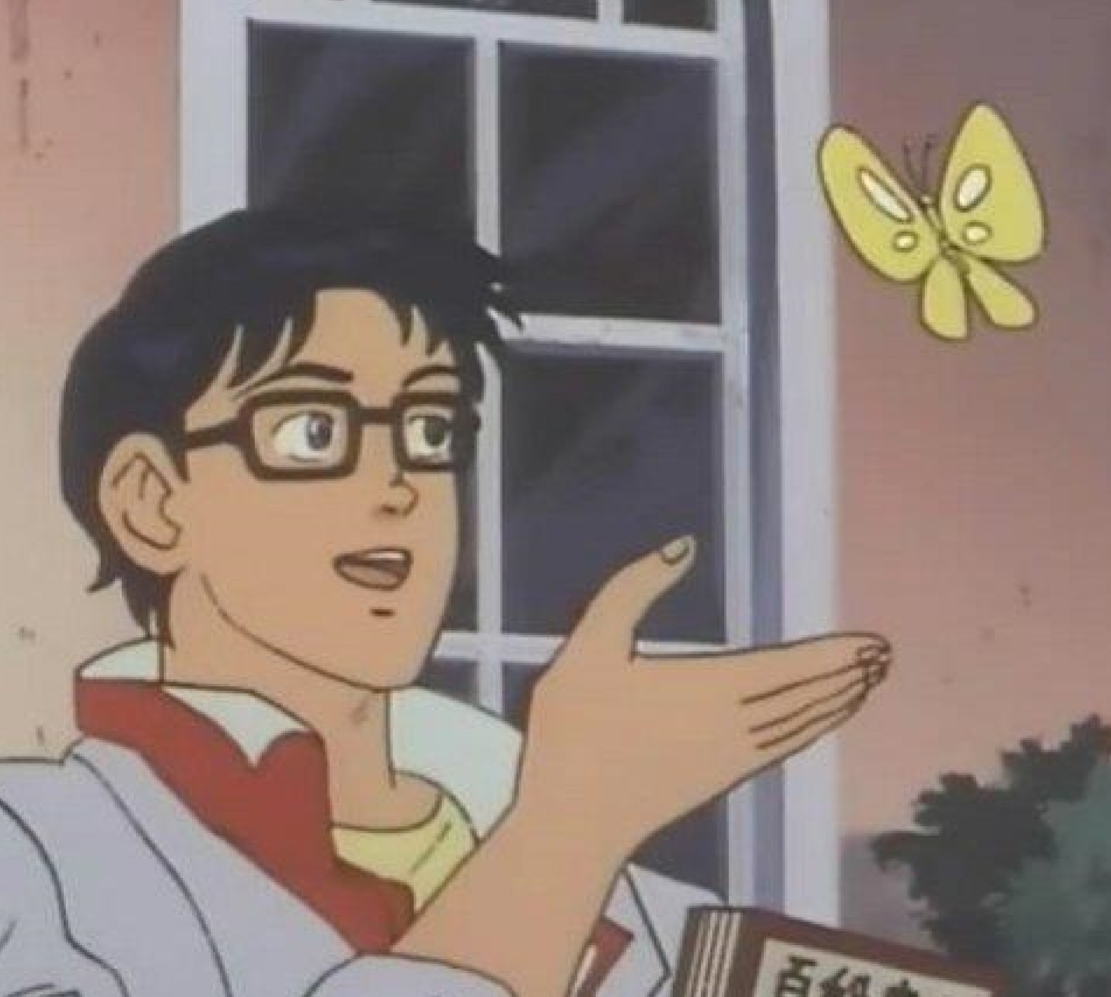 ¿Es esto una paloma?
