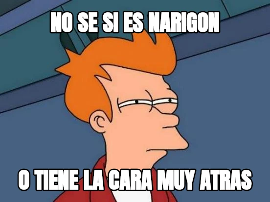 NO SE SI ES NARIGON O TIENE LA CARA MUY ATRAS