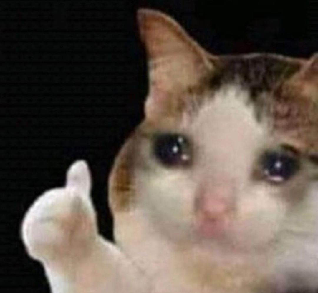 Gato llorando (Duren)