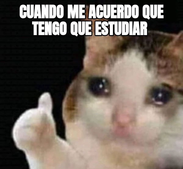 Cuando me acuerdo que tengo que estudiar 