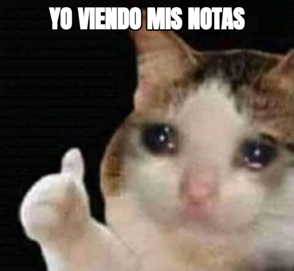 yo viendo mis notas