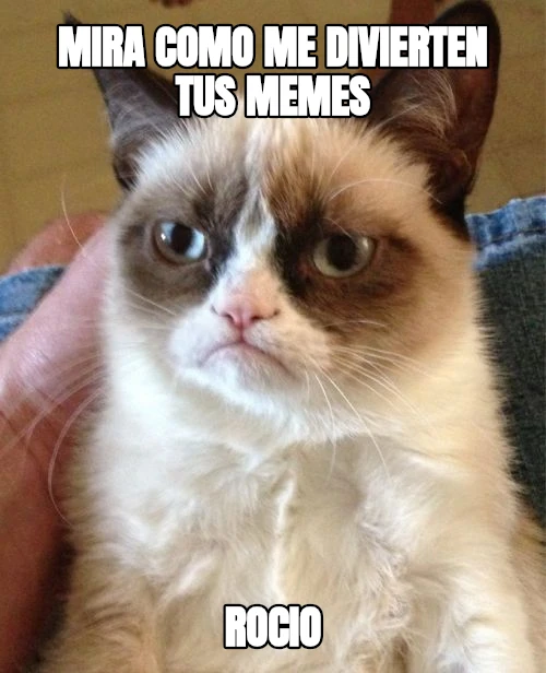 MIRA COMO ME DIVIERTEN TUS MEMES ROCIO