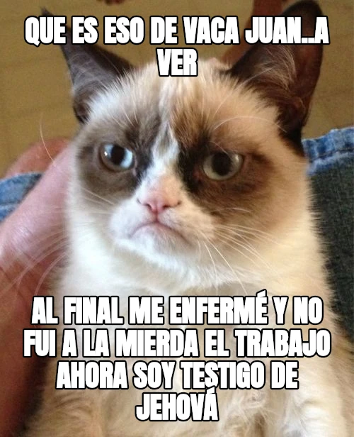 Que es eso de vaca Juan..a ver Al final me enfermé y no fui A la mierda el trabajo Ahora soy testigo de Jehová