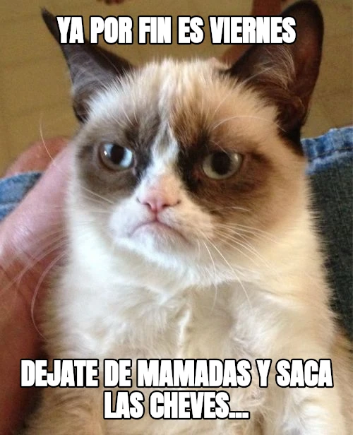 Ya por fin es viernes Dejate de mamadas y saca las cheves...