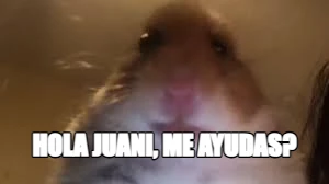 Hola Juani, me ayudas?