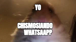 yo chismosiando     whatsaapp