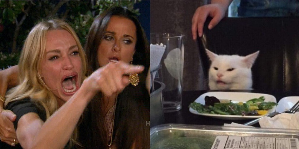 Mujer Gritando a Gato