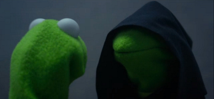 Rana René Encapuchada (Kermit)